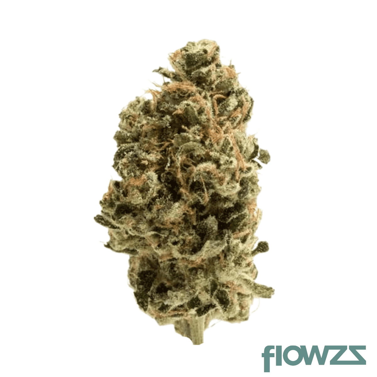 lit-27-1-dc-diesel-chem