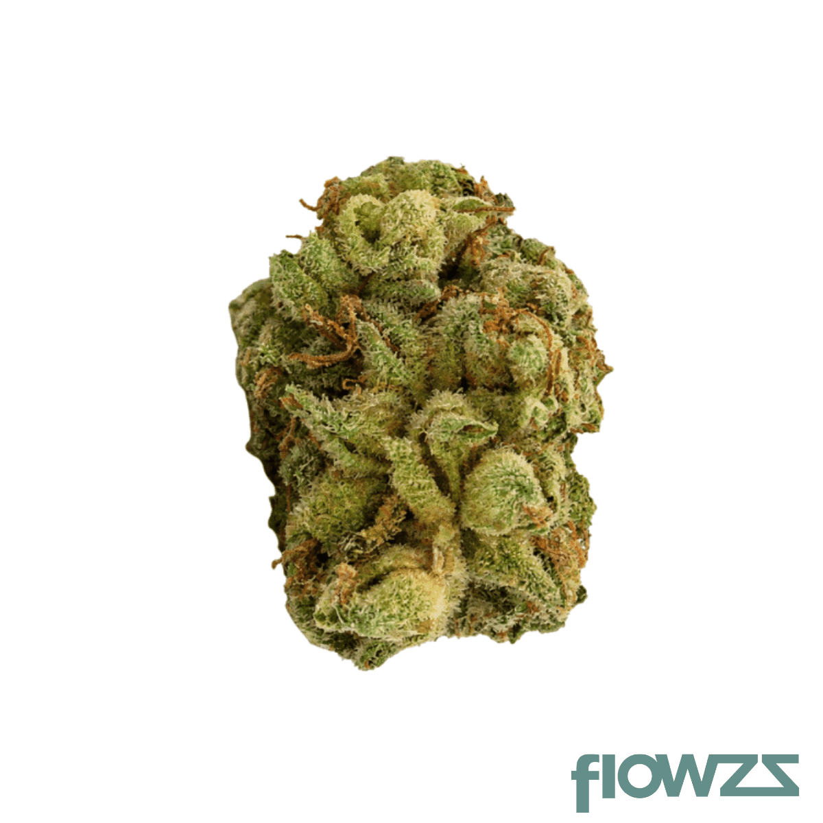 lit-27-1-wfi-white-fire