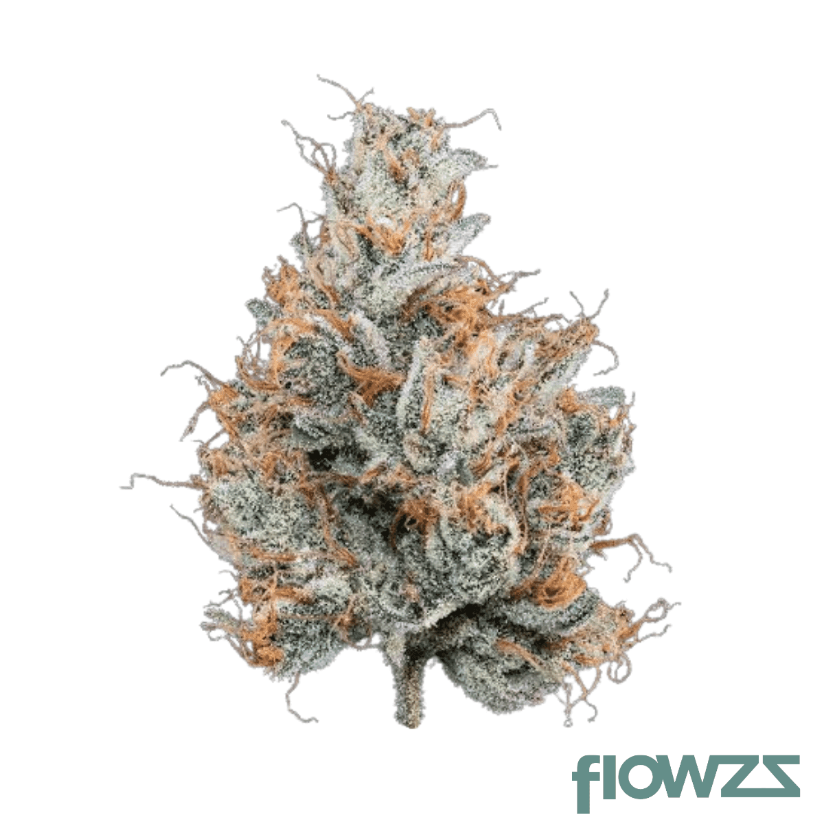 lit-35-1-sta-sticky-apple