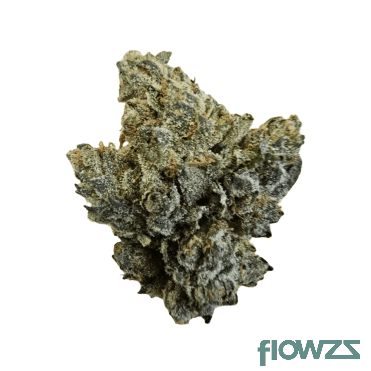 lot-420-greyscales-jfro-29-1-jack-frosted