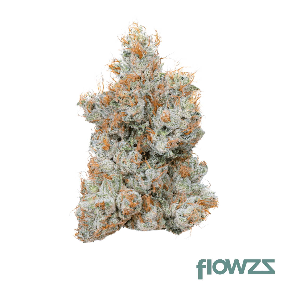 skypilot-lf-24-1-lemon-fuel
