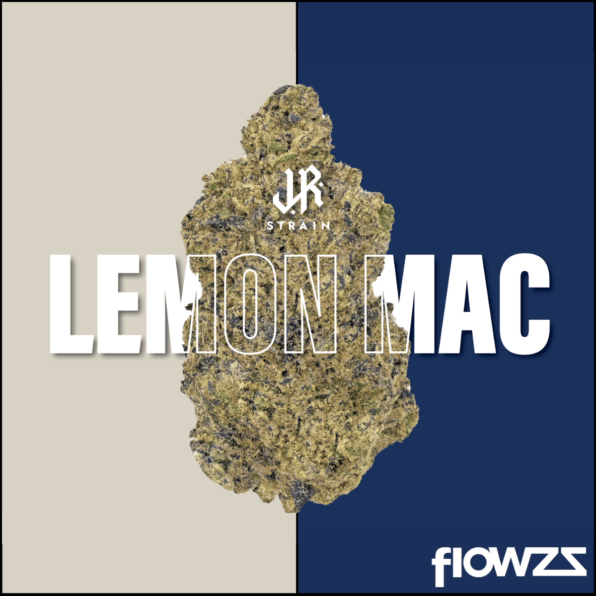 J.R. STRAIN L MAC 21/1 Lemon Mac