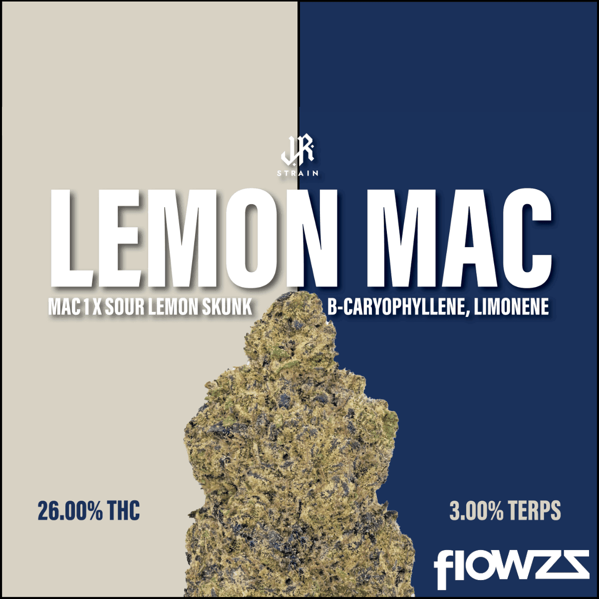 J.R. STRAIN L MAC 21/1 Lemon Mac
