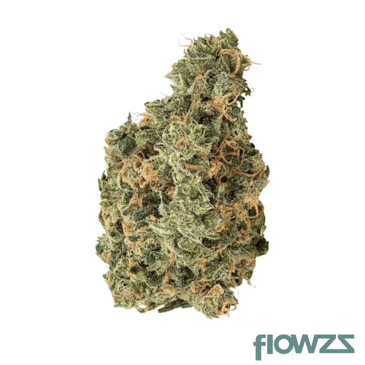 loco-strains-24-1-gp-georgia-pai