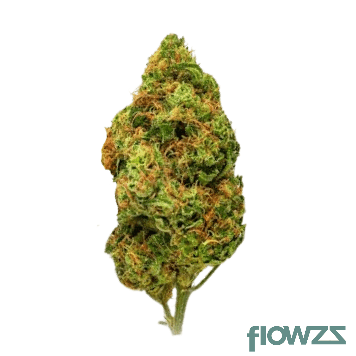 luana-24-1-mph-mega-platinum-haze