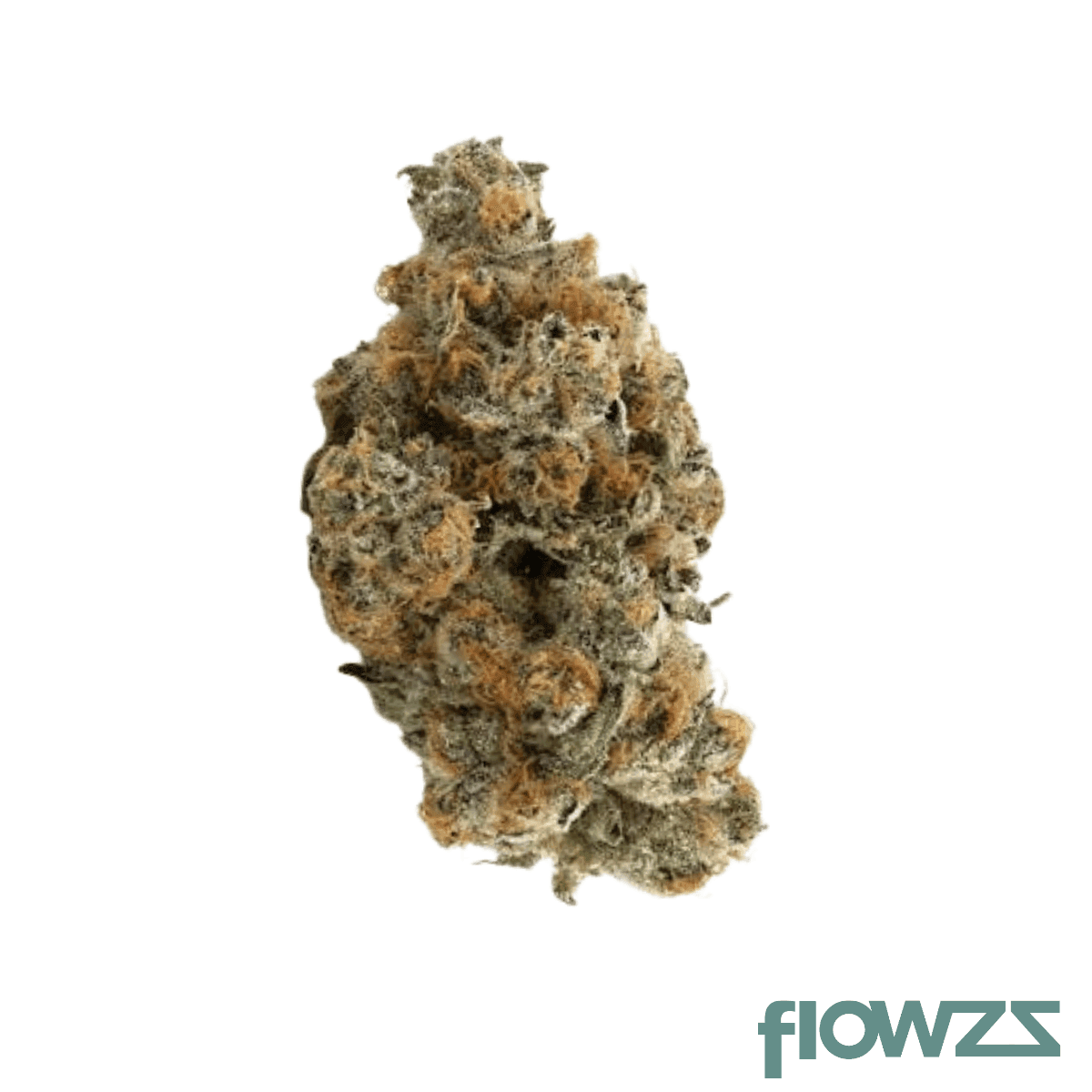 luana-28-1-gms-gmo-mints