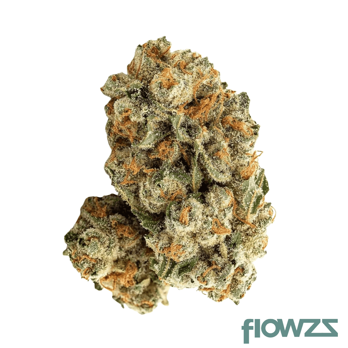 mgf-400-cherry-dosidos-26-1