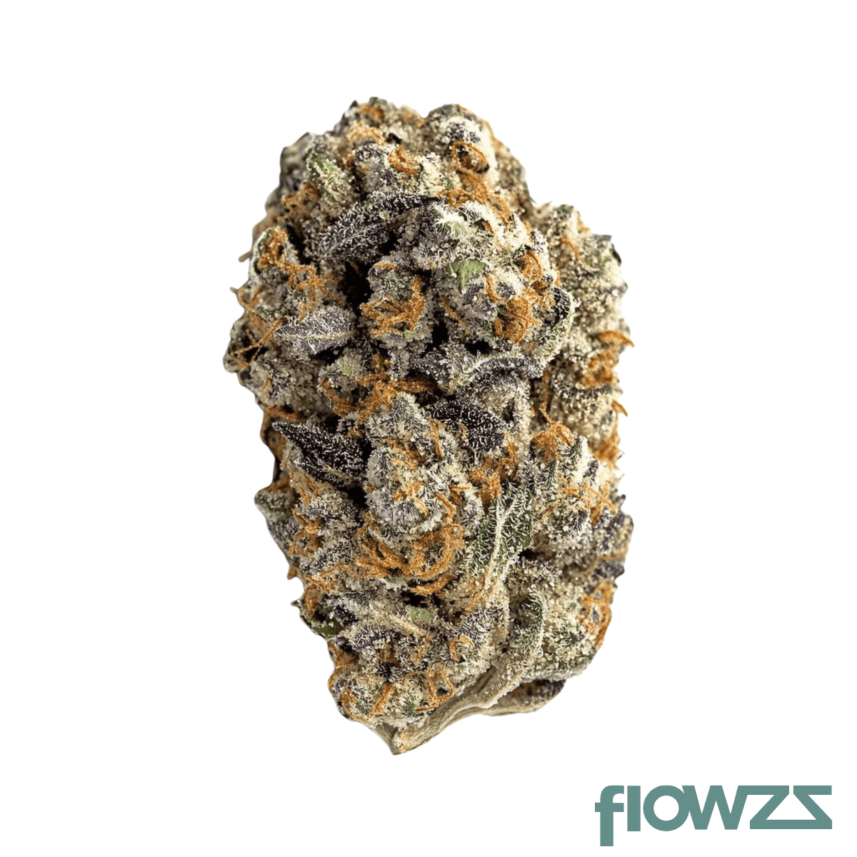 hi-society-mim-27-1-mimosa