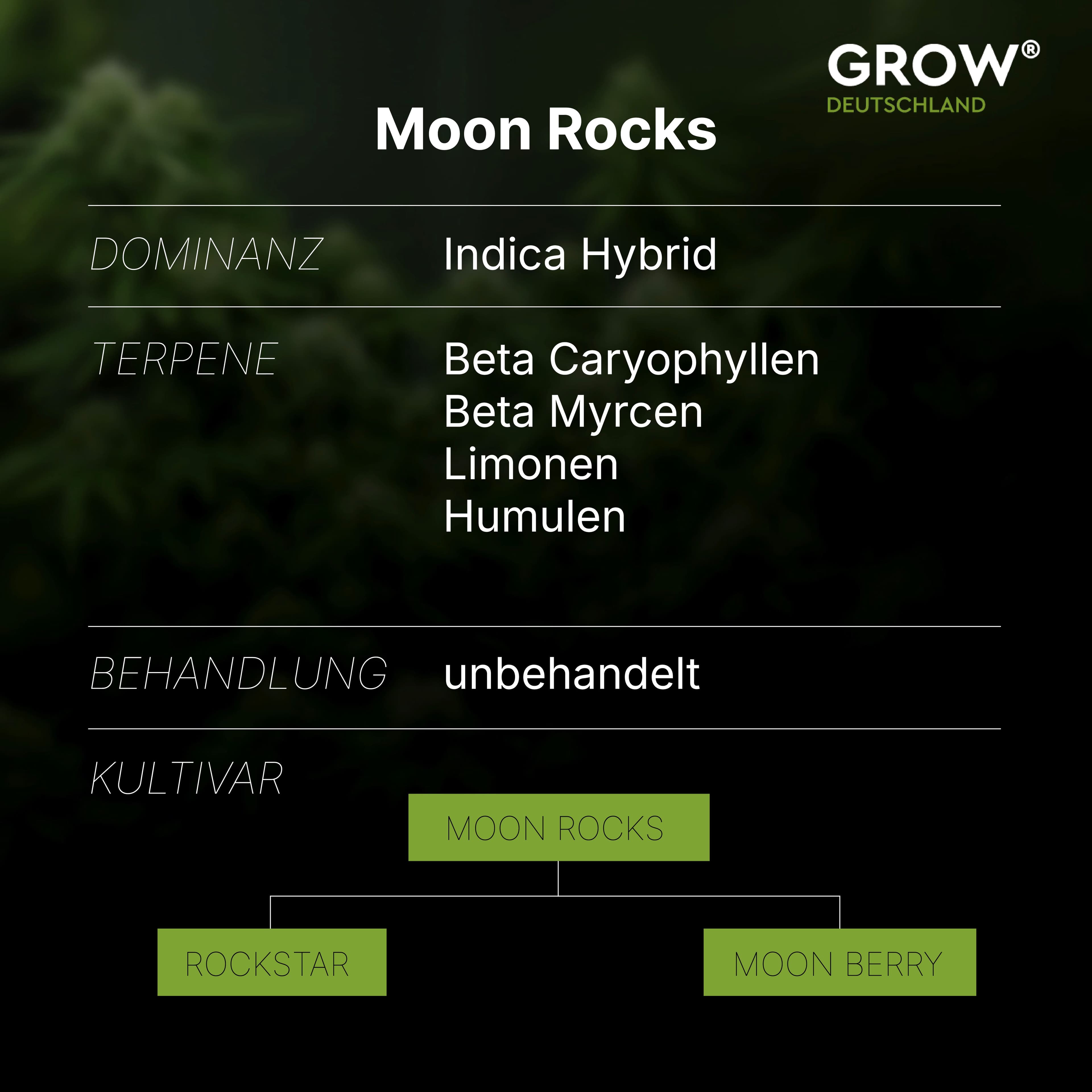 grow-ro-24-moon-rocks