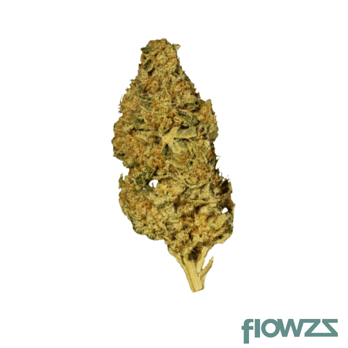 nice-20-1-bzo-blue-zoda