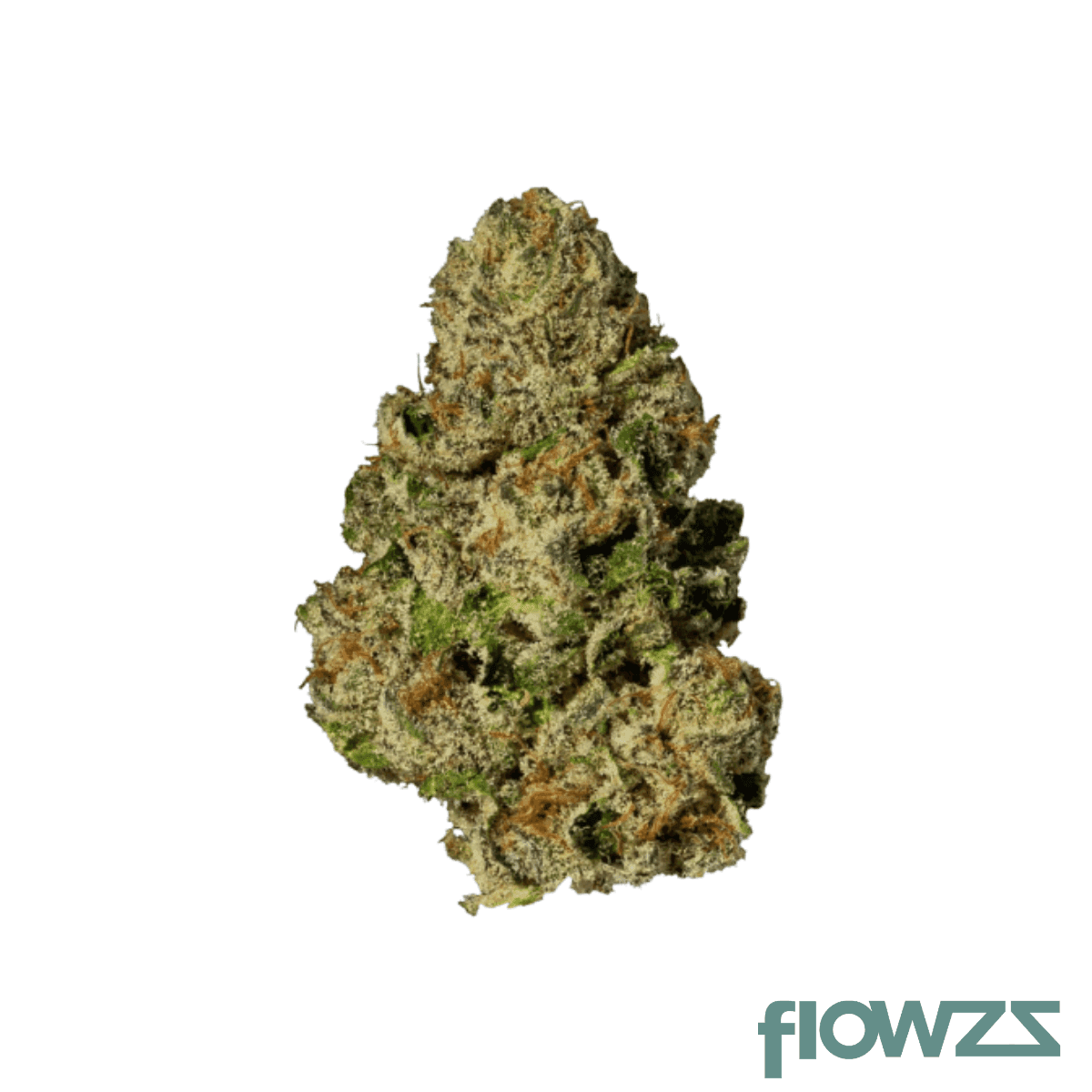 nice-24-1-nwa-new-waves