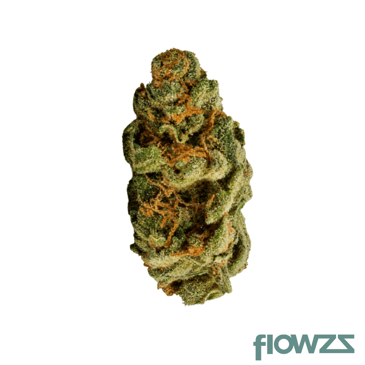 nice-29-1-cog-cookies-og