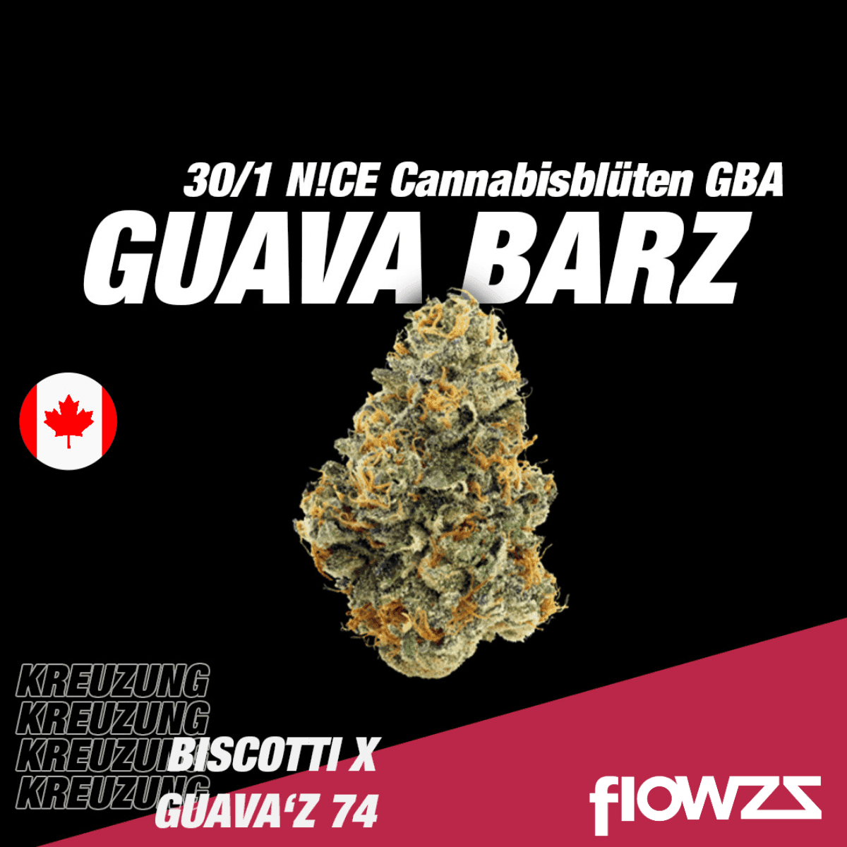 NICE 30/1 GBA Guava Barz