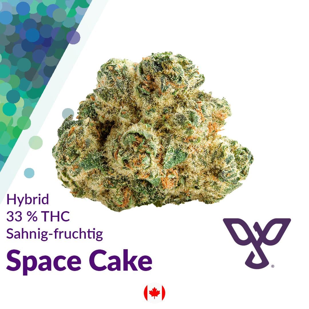 Peace Naturals 33/1 Space Cake