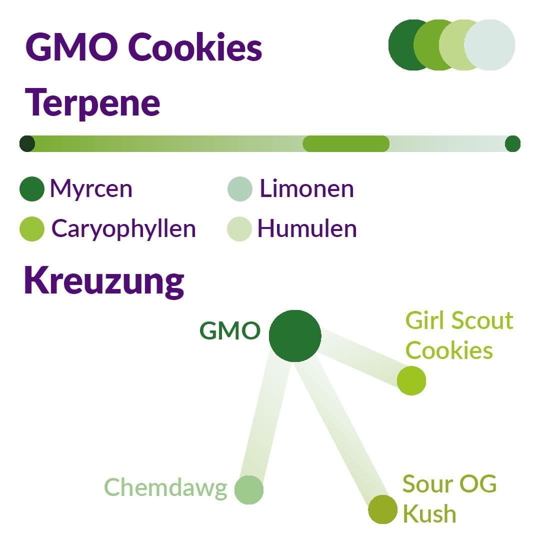 Peace Naturals 31/1 GC GMO Cookies