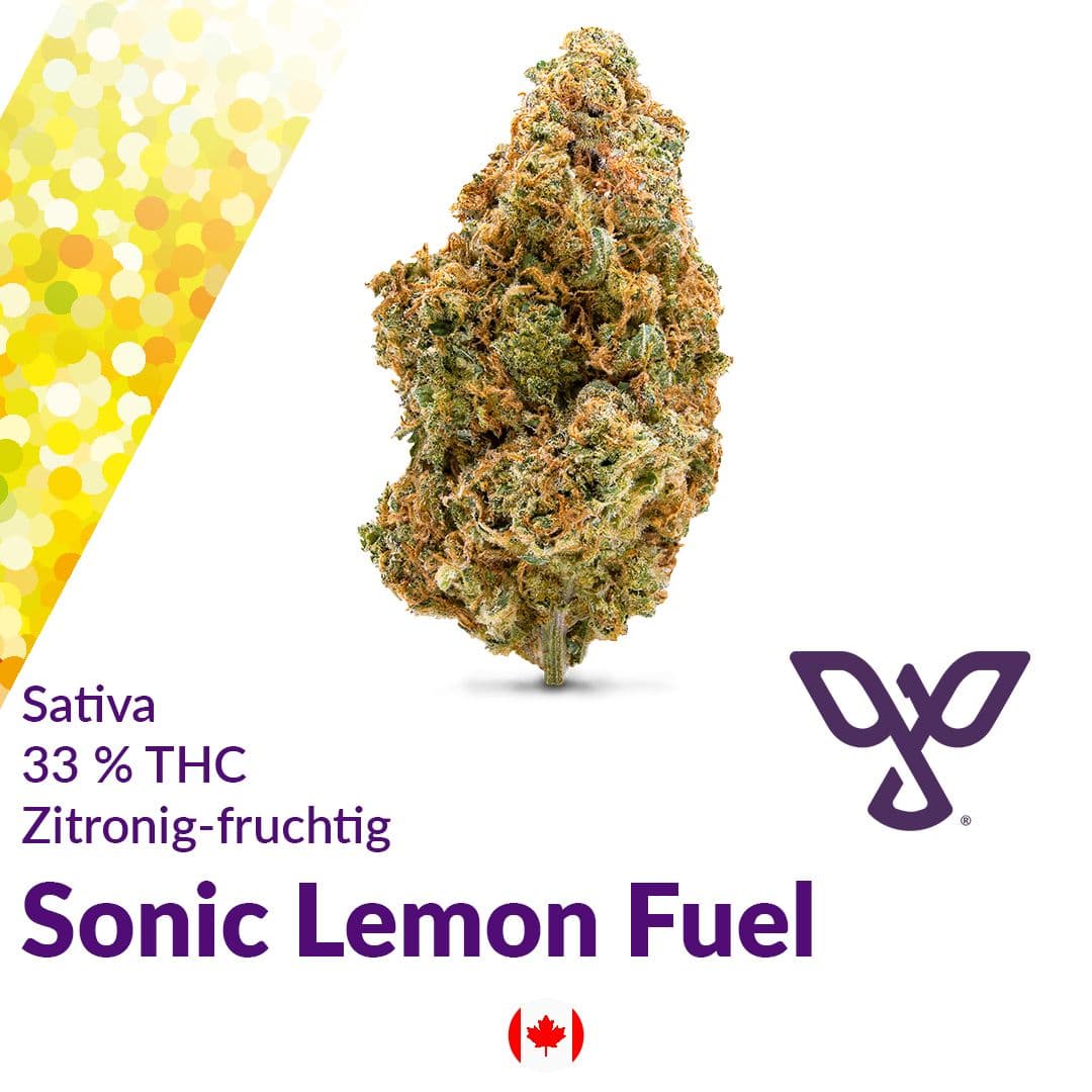 Peace Naturals 33/1 SL Sonic Lemon Fuel