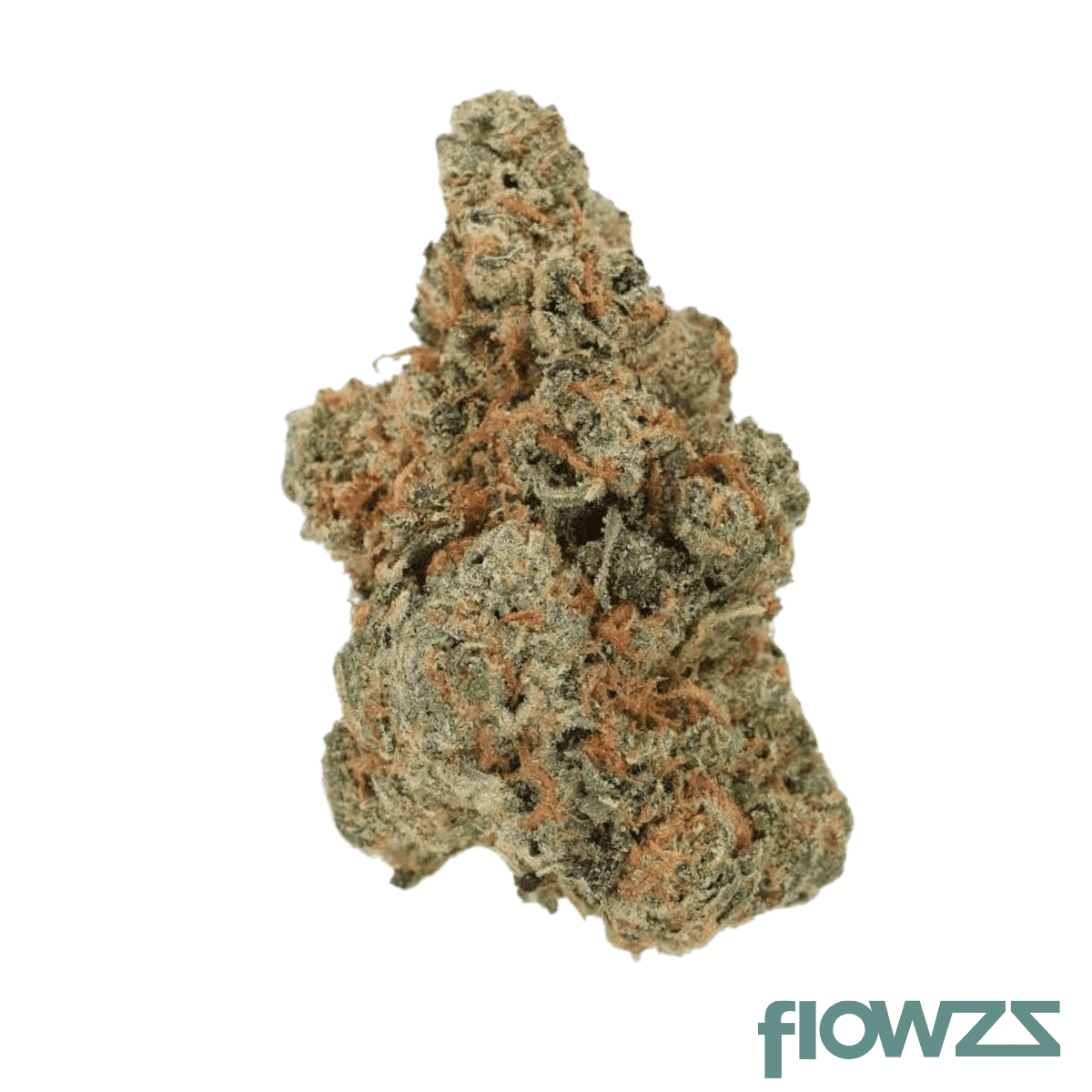 patagonie-sh-30-1-star-haze