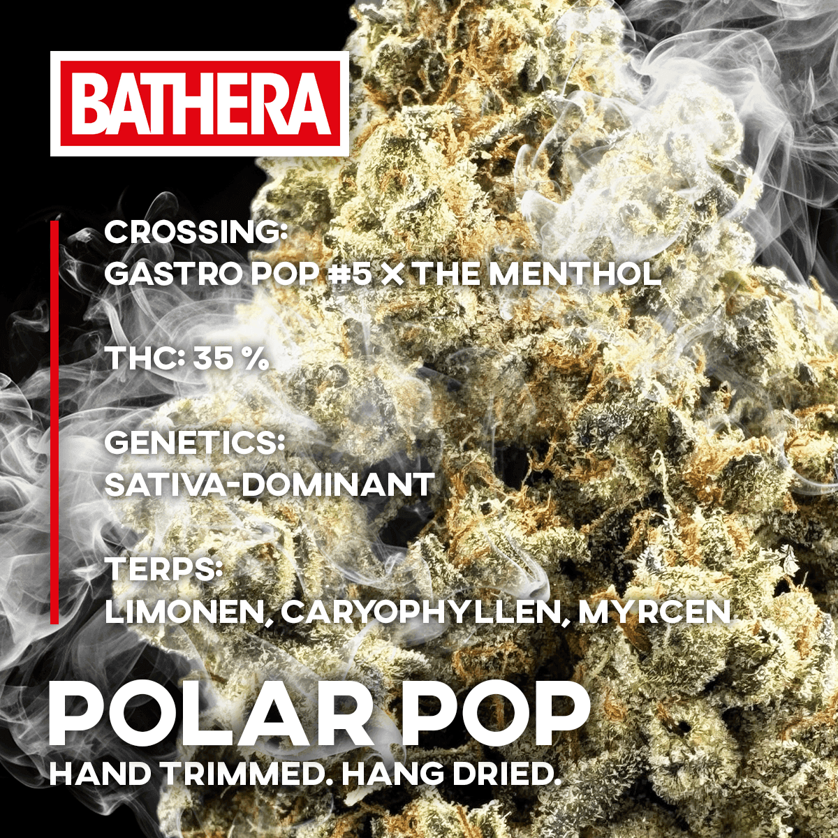 Bathera 35/1 PP Polar Pop