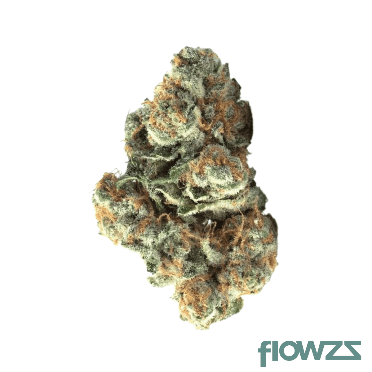 pop-up-no-42-frozen-desert