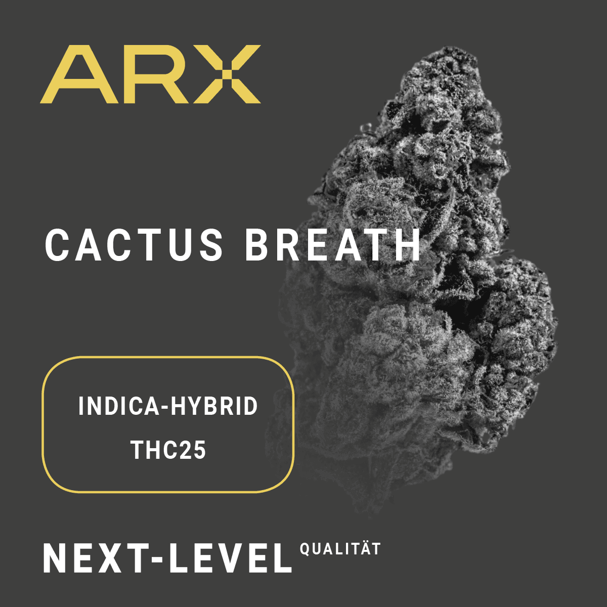 Tilray Craft Cannabisblüten THC25 CTB Cactus Breath