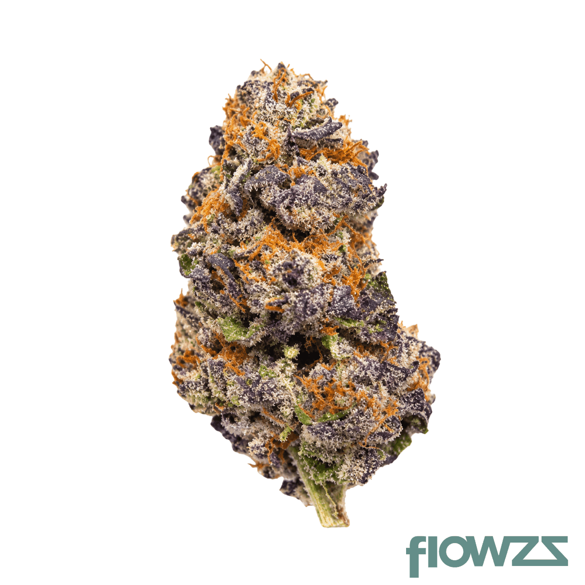 sitka-legends-27-1-ros-royal-sherbert