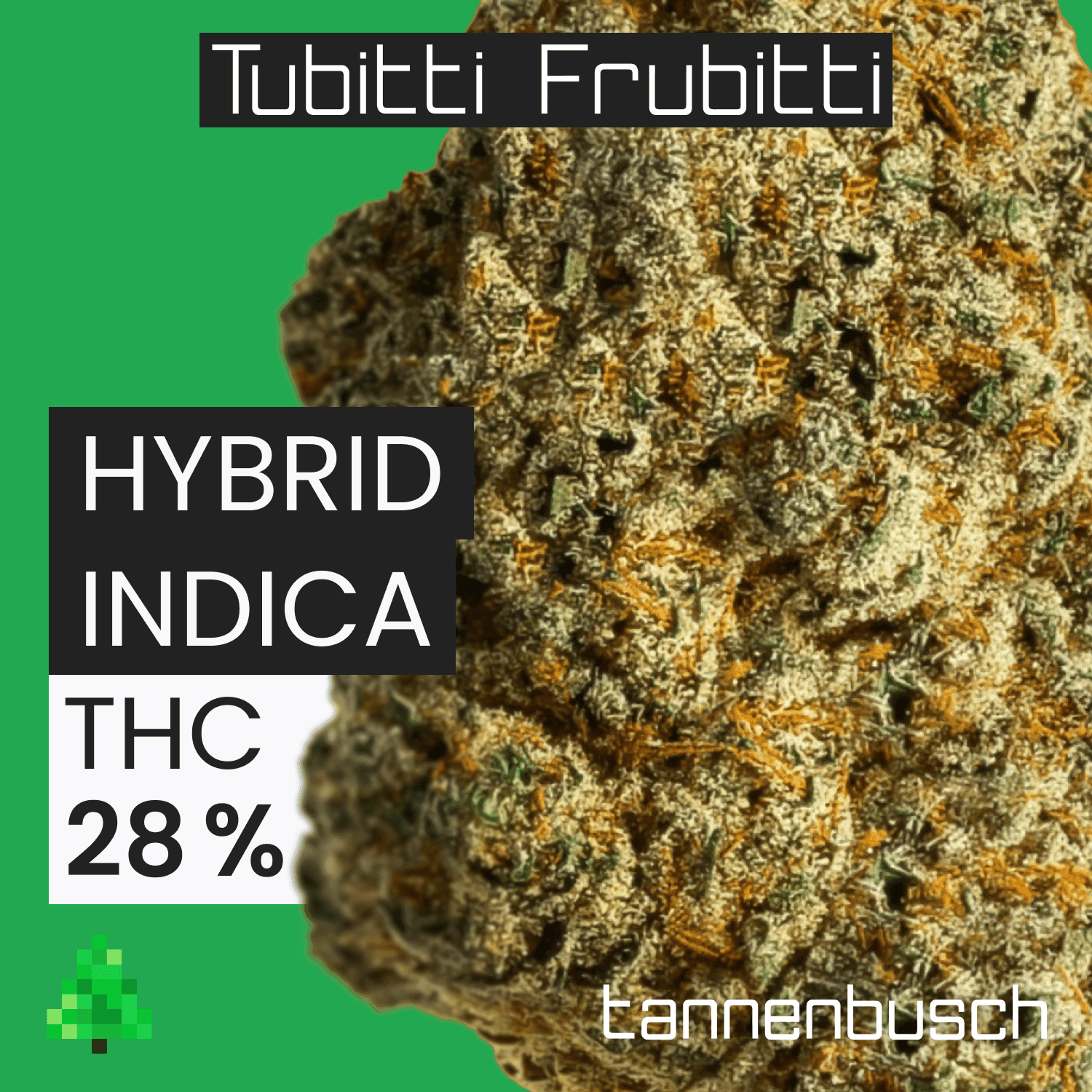 Tannenbusch 28/1 TF Tubitti Frubitti
