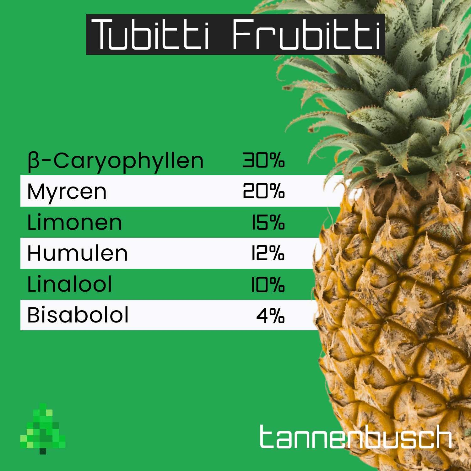 Tannenbusch 28/1 TF Tubitti Frubitti
