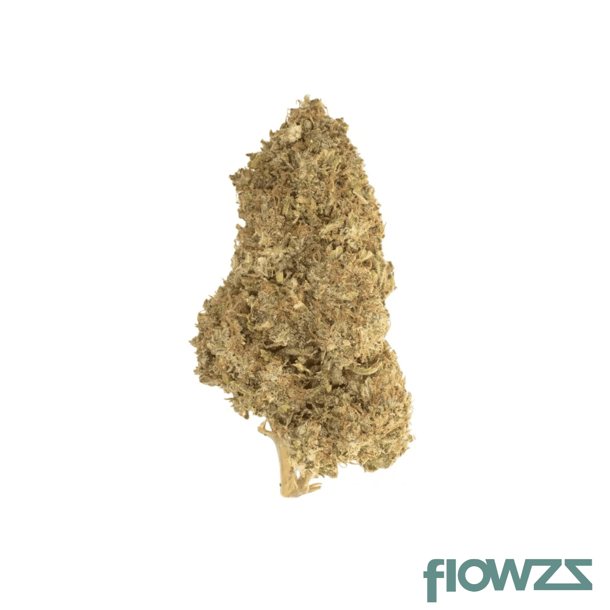 Cannamedical Indica Forte SM Alpha Biscuit