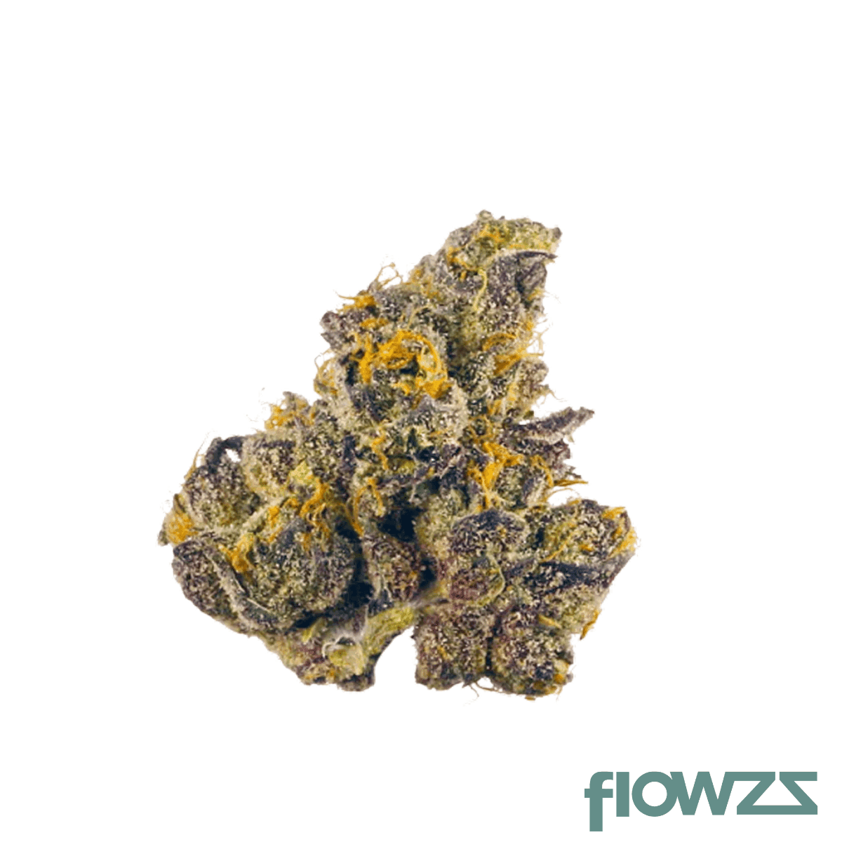 MGF Pop Up No. 15 26/1 Gush Mints