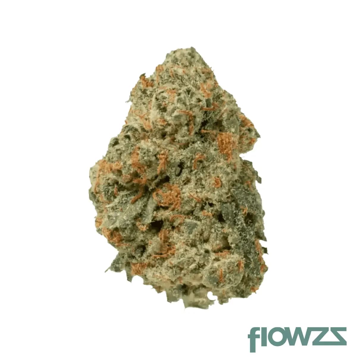 medical-saints-27-1-lem-lemonatti