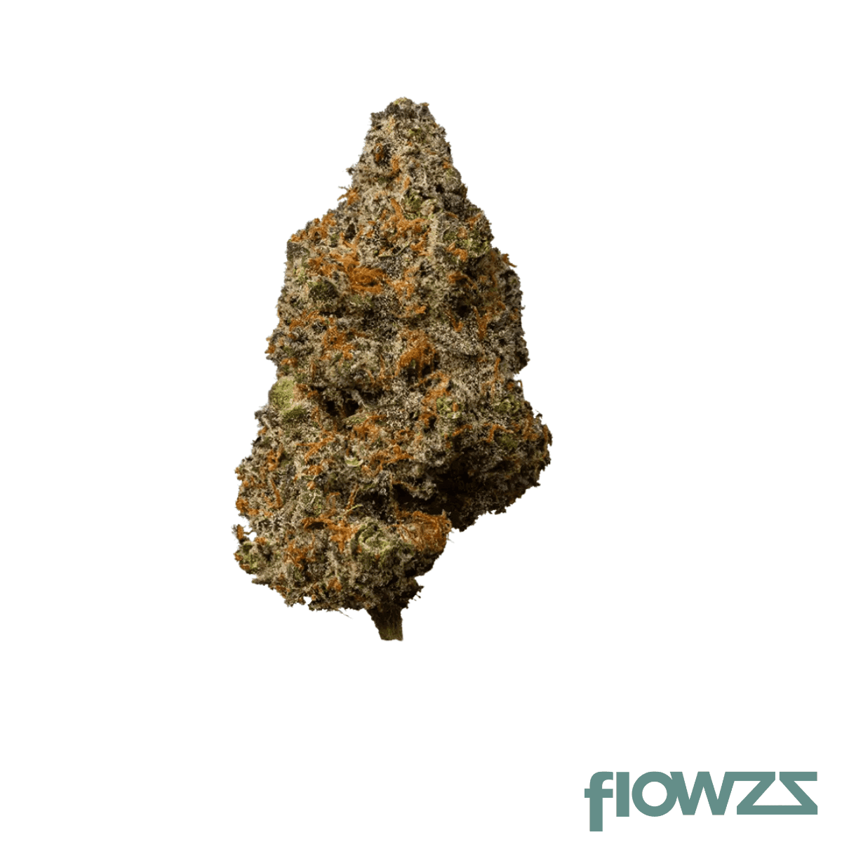 apollo-33-1-euf-delicata-cookies