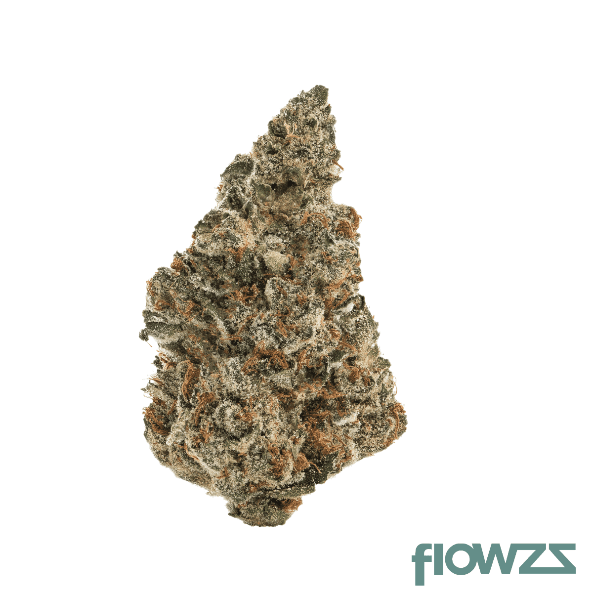 mgf-3000-thc-rich-pink-certz