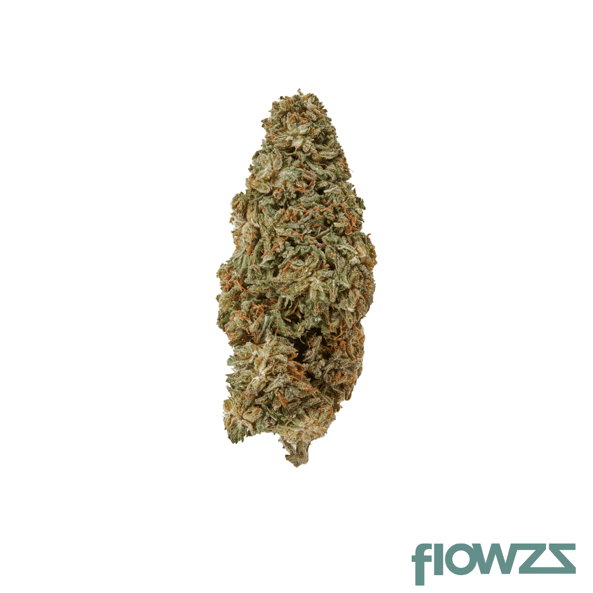 suprobion-jp-22-1-jelly-punch