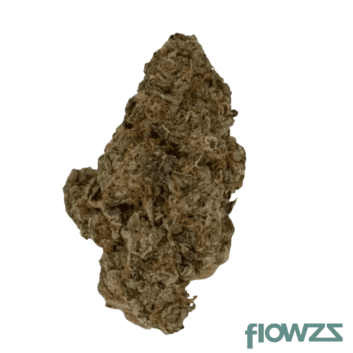 cookies-20-26-1-bubblegumz