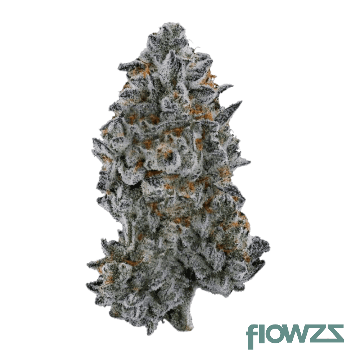 nice-25-1-lp-lotus-punch