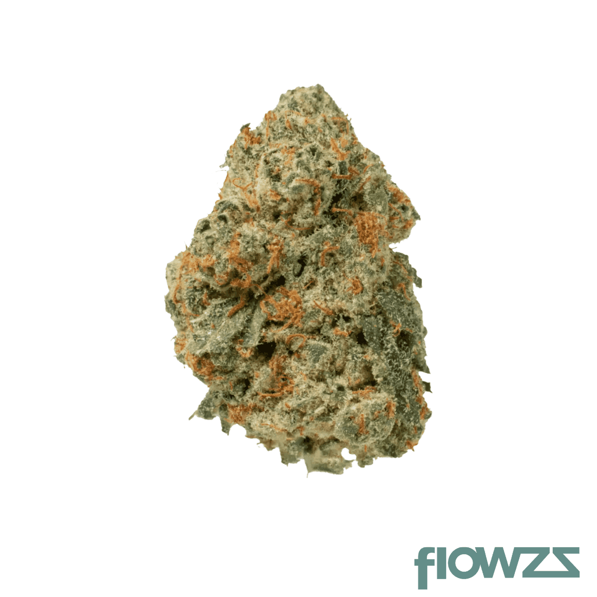 medical-saints-21-1-lem-lemonatti