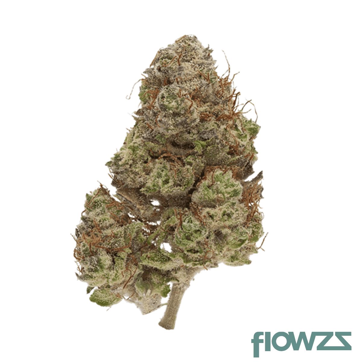 thc-akut-mg-24-1-bcp-black-cherry-punch