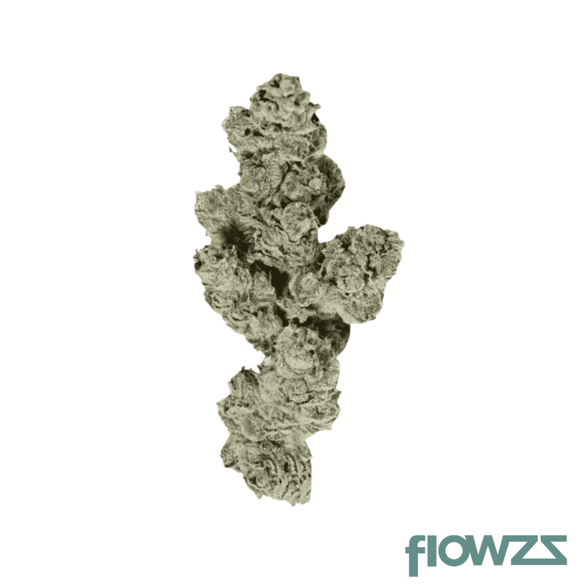 demecan-cv-regular-drop-25-1-banana-kush