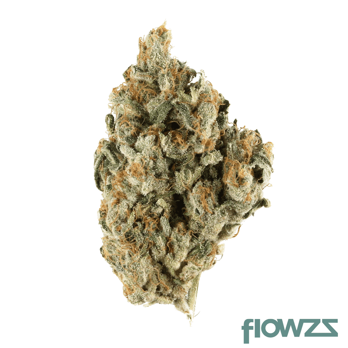 cannamedical-indica-classic-au-el-jefe