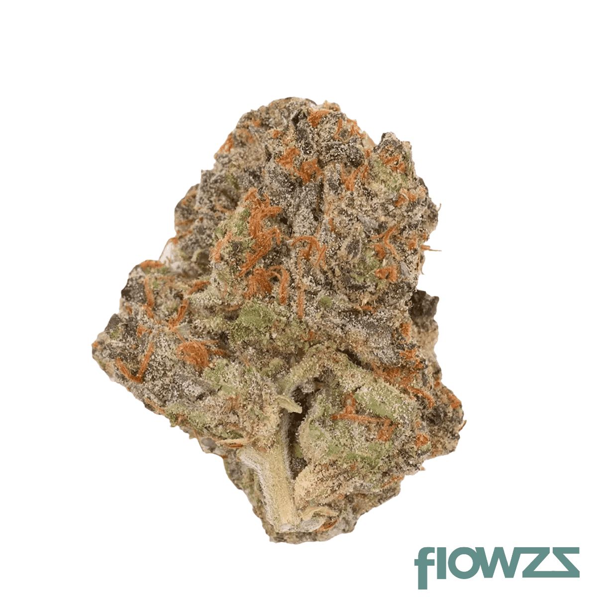 medicann-23-1-mc-oro-23-duende