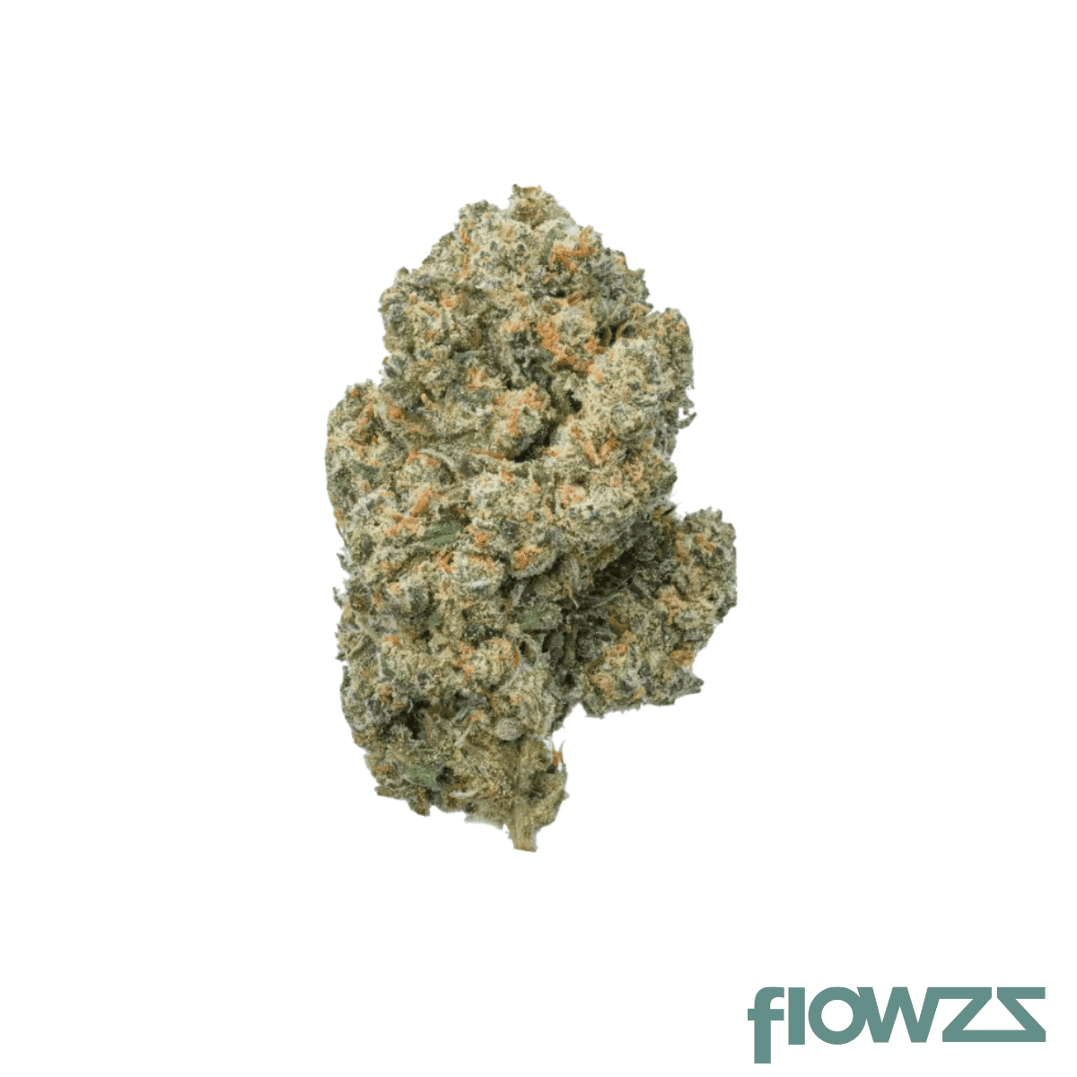 balancial-22-1-pt-s1-jh-jack-herer