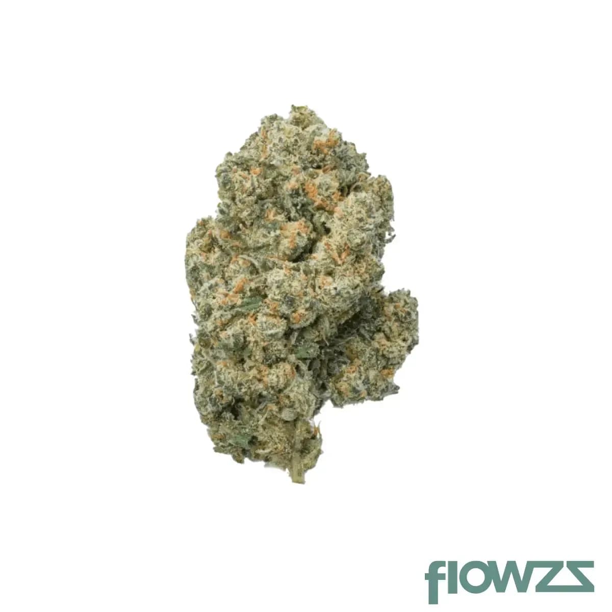 balancial-24-1-pt-s1-jh-jack-herer