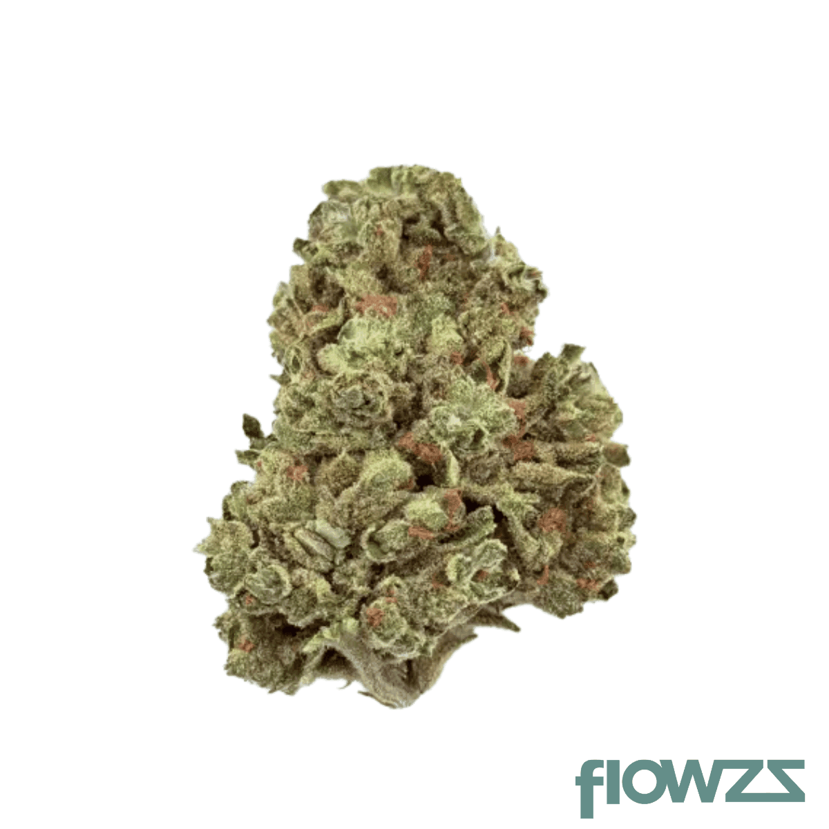 treatz-hb-29-1-honey-biscotti