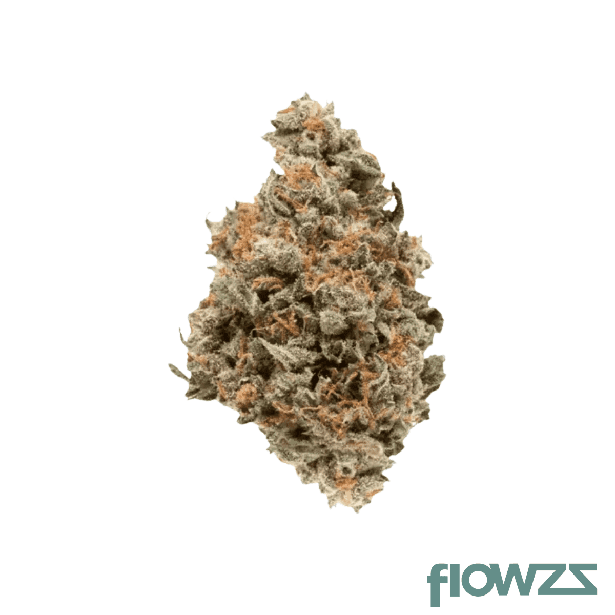 demecan-craft-tigerz-eye-31-1-jokerz-31-x-gastro-pop