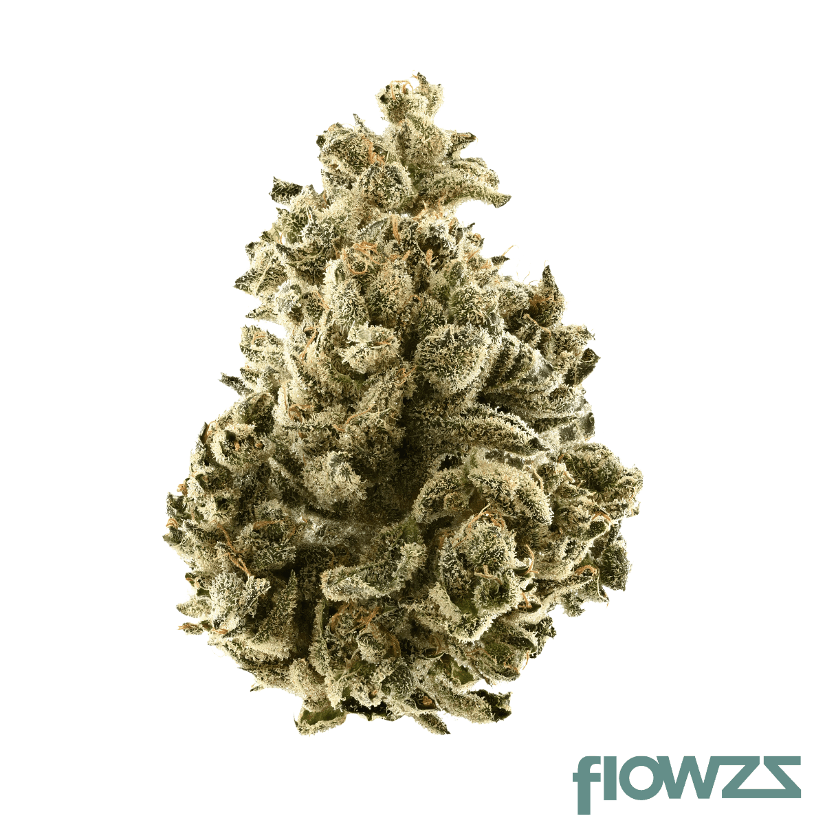 DMC Lean Drop Holy Roller #11