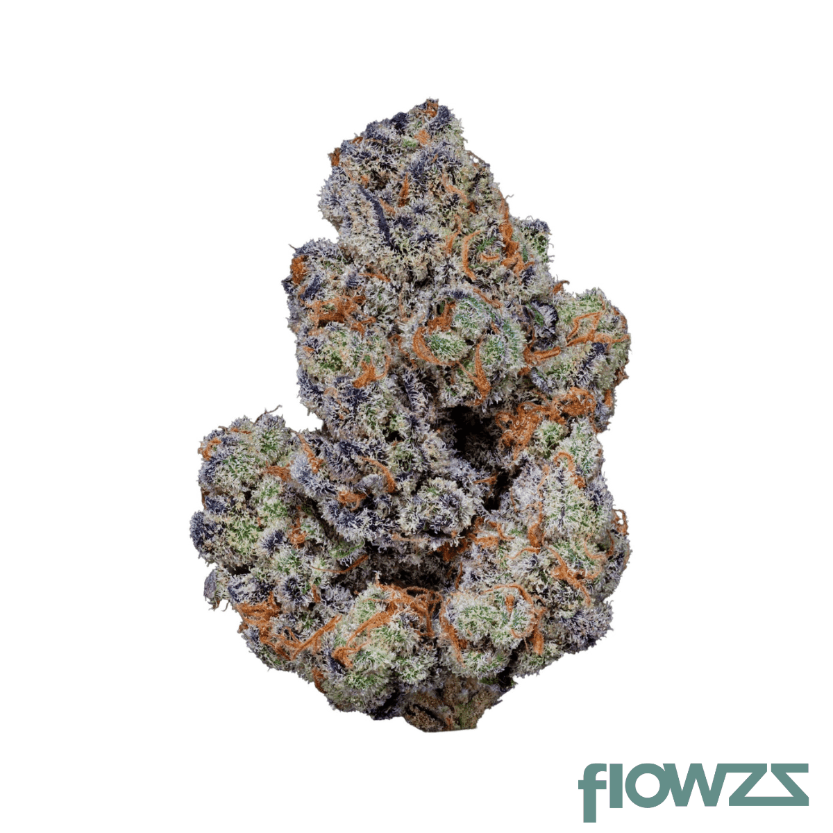  26/1 Amici BH Blueberry Headband