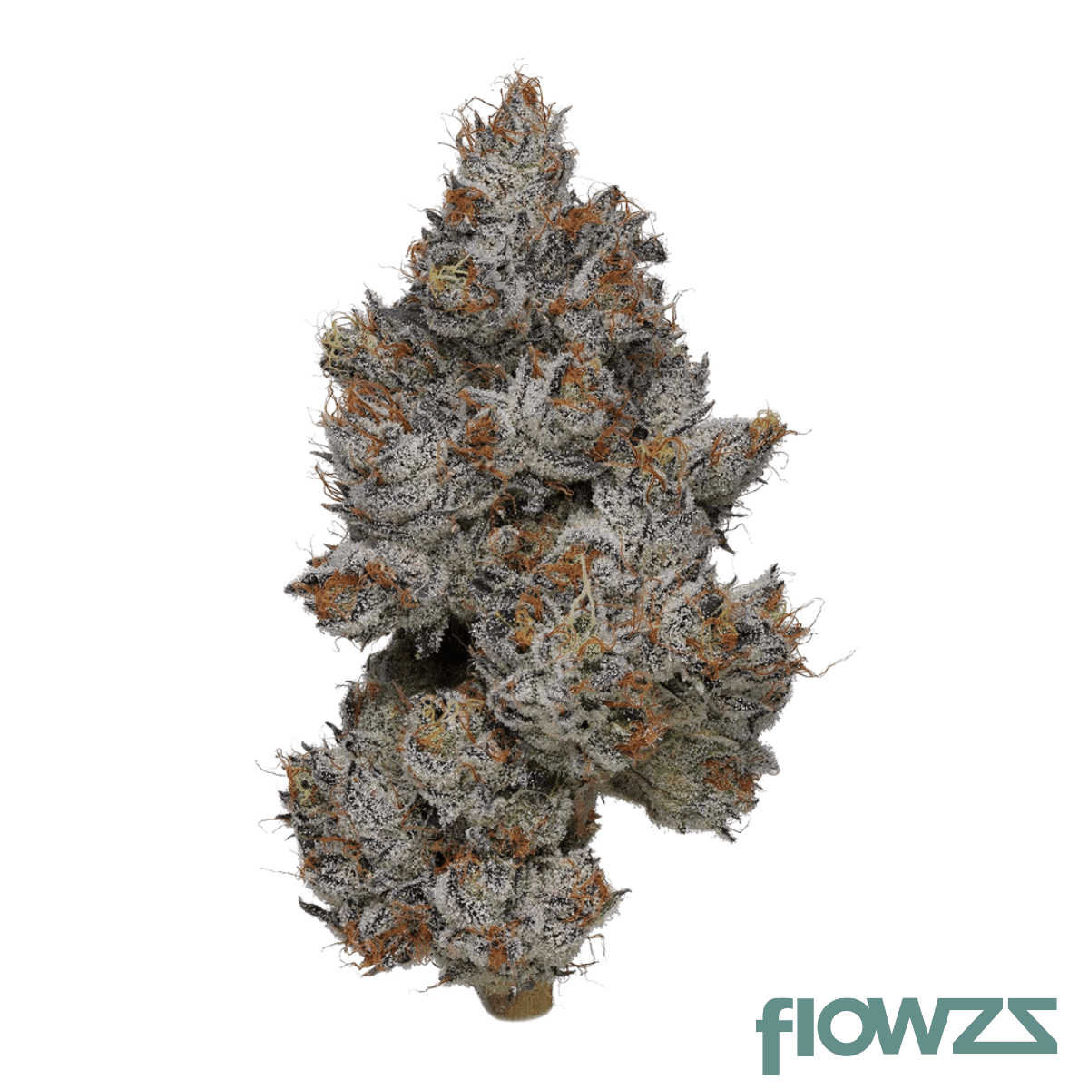 treatz-fz-25-1-frostiez