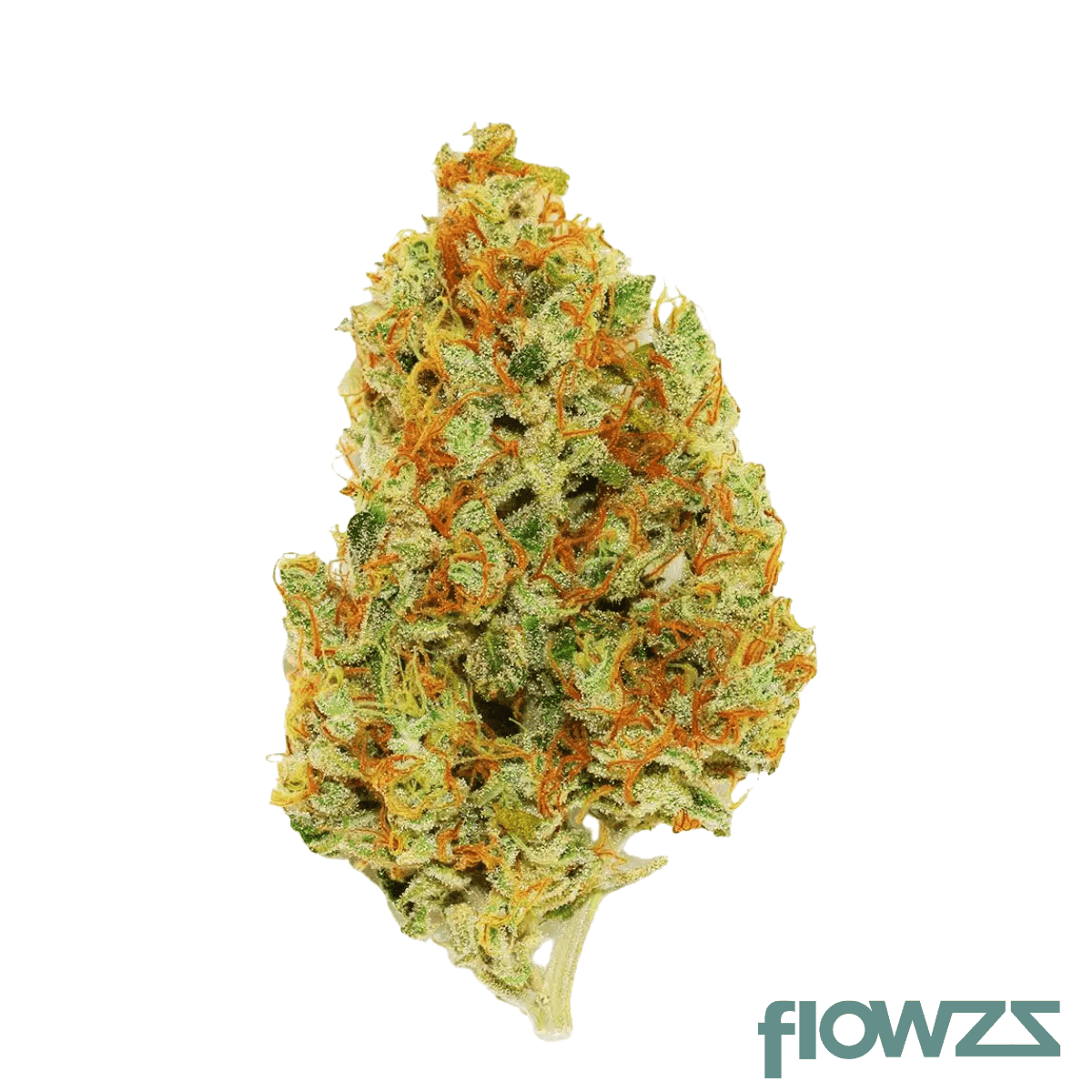 remexian-26-1-crf-gbrc-glitterbomb-x-rainbow-cheddar