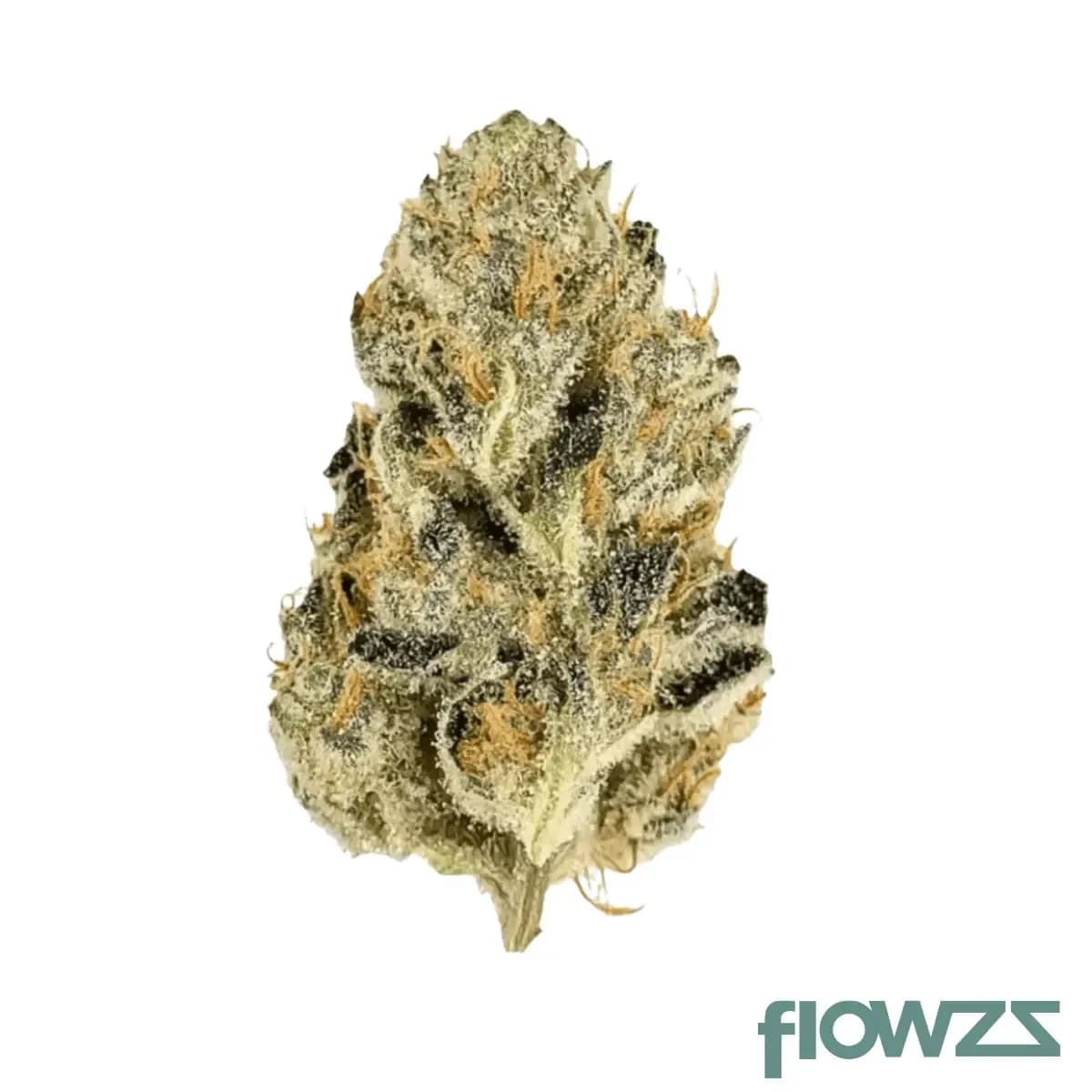 mediprocan-frosty-peaks-26-1-the-soap