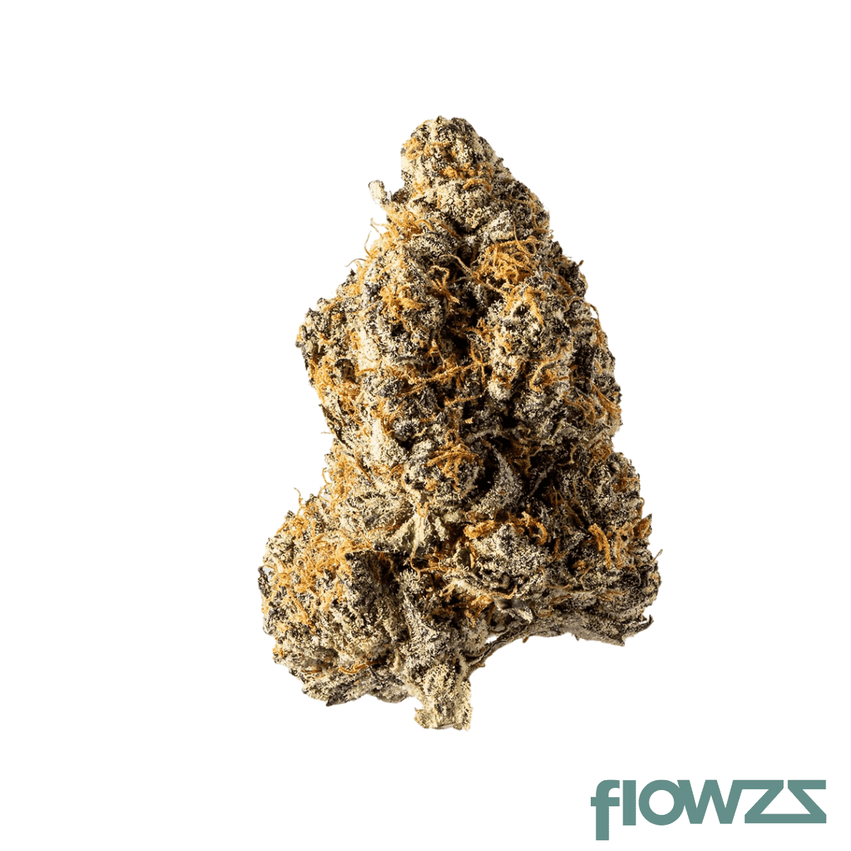 avant-dantes-inferno-24-1